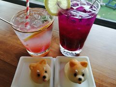 柴犬芝士蛋糕-柴犬高等学院·狗咖·柴犬售卖·宠物训练