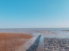 -南汇嘴观海公园