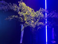 -逸馥荟(人广来福士店)