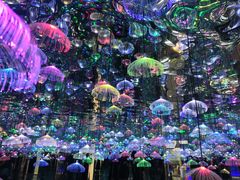 -天津梵高星空艺术馆(天河城旗舰店)