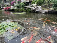 -桃园盛宴·岭南粤菜·手工茶点(南庄店)
