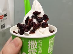 -Salud撒露欧洲冻酸奶(蓝色港湾店)