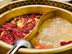 -小龙坎老火锅(北京三里屯店)