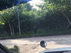 -安飞驰驾校·学车连锁(金高店)