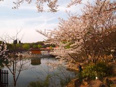 -白马涧龙池景区