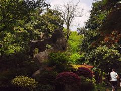 -杭州半山国家森林公园