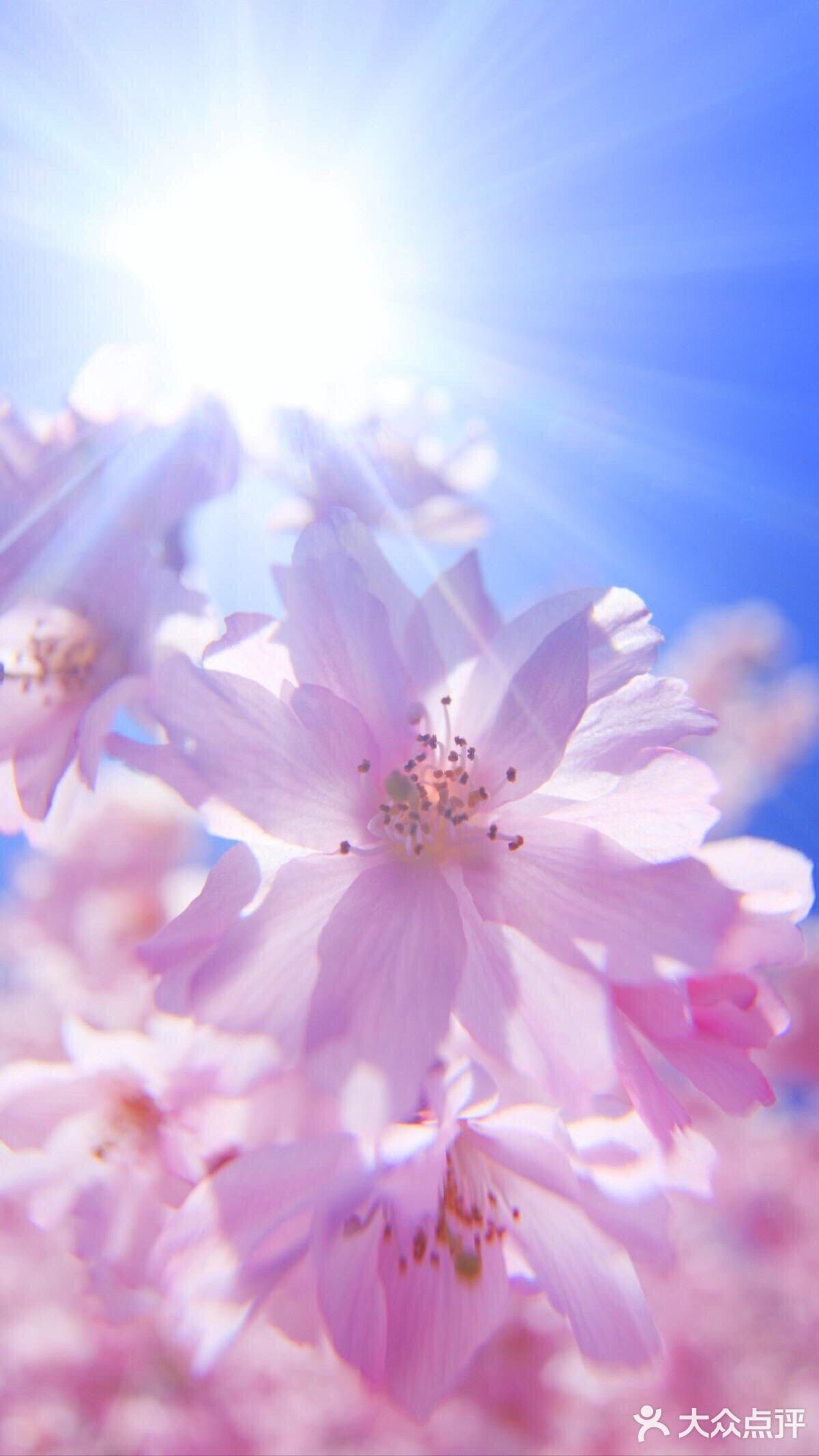 自由，呼吸的日子也不远了。