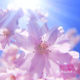 自由，呼吸的日子也不远了。