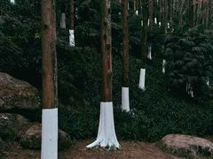 -重庆中央公园(渝北区)