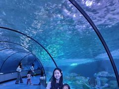 -泉城欧乐堡海洋极地世界