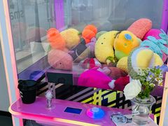 -上海浦东smart汽车全功能店(金桥店)