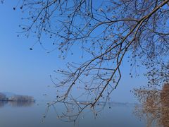 -东湖落雁景区