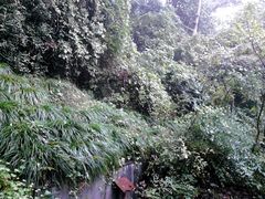 景点-上海佘山国家森林公园西佘山园