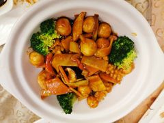 -大鸭梨烤鸭店(花园村店)