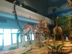 -自贡恐龙博物馆