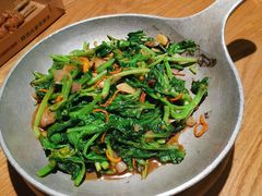 -阿五黄河大鲤鱼(纬三路店)