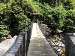 -祁门牯牛降观音堂风景区