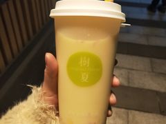 -树夏(鹭洲里店)