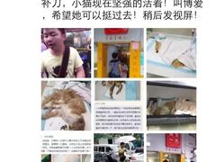 盛京一禾-盛京一禾