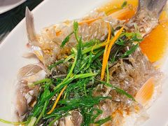 -仙店农庄