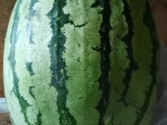 西瓜-朝阳菜场(白塔西路店)