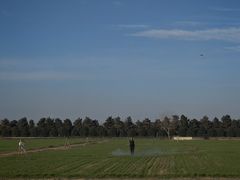 -汉长安城未央宫国家考古遗址公园