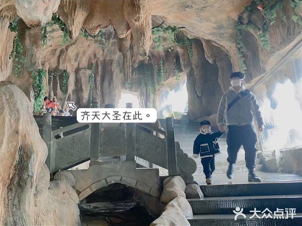 成都周边可投食老虎的超大野生动物世界