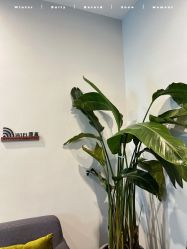 -植蔻妍倍儿专业脱毛·皮肤管理