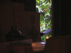 -斯多格书乡(北京大学畅春园店)