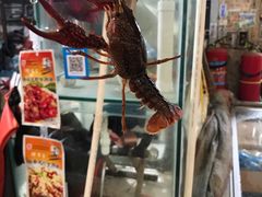 -众彩物流水产市场