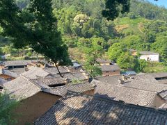 -杨家堂村