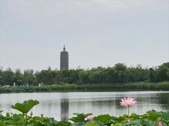 -西海子公园