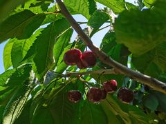 -乐宠宠物店(世纪金源店)