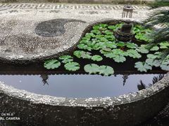 -都江堰普照寺