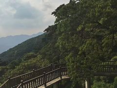 -广州市石门国家森林公园