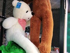 -韩风源烧烤涮自助餐厅(禹州新一峰店)