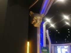 -星辉电影公园(时代广场CC MALL店)