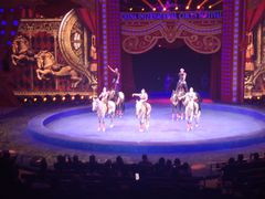 -珠海横琴长隆《卡卡虎奇遇记》