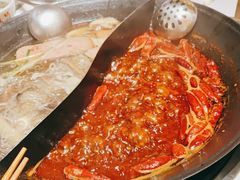 -朱光玉火锅馆(正弘城店)