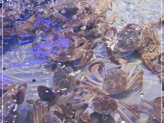 -澜悦港海鲜体验主题餐厅