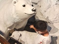 -蓬莱欧乐堡海洋极地世界