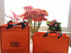 -KUMO KUMO甜品·冰淇淋(深圳壹方城店)