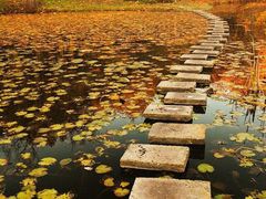 -山王坪喀斯特国家生态公园