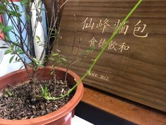 -仙峰天然面包(迎宾路店)