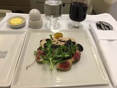 -新加坡航空公司(ION)