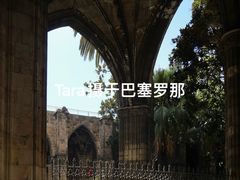 -巴塞罗那主教座堂