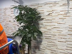-小蓝鲸游泳培训基地(积水潭店)