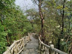 -大金鹰园