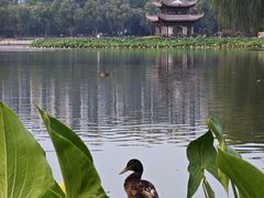 -陶然亭公园