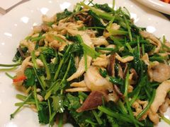 芫爆鸡丝脆肚-大眼锅贴水饺(河东店)